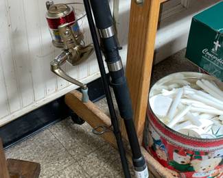 Fishing Rod W/ Reel