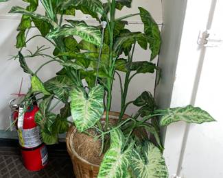 Faux Plant