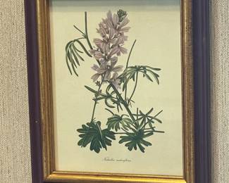 Framed Floral Artwork