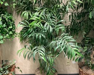An Assortment Of Faux Plants, Ivy, Floral Arrangements, & OVERSIZED Trees