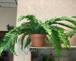 An Assortment Of Faux Plants, Ivy, Floral Arrangements, & OVERSIZED Trees