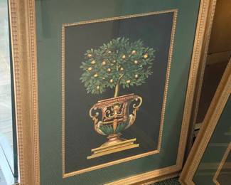 Framed Topiary Artworks