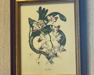 Framed Floral Artwork