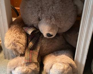 Teddy Bear Collection