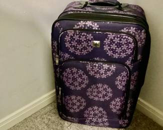 Different size luggage