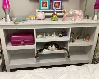 This can also be an organized shelving unit with Bins to slide into shelves
