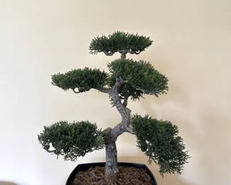 Bonzai Tree