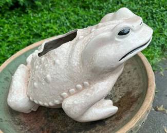 140 Oversized Ceramic Toad Plantermin