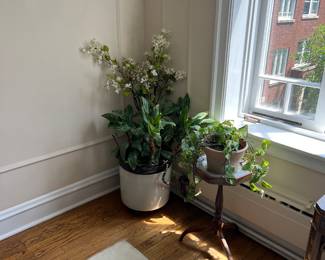 Plants