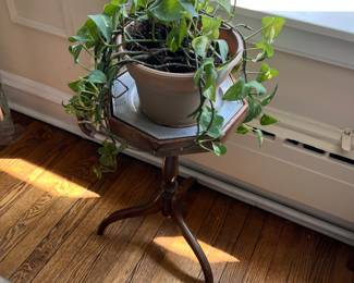 Plant, plant stand