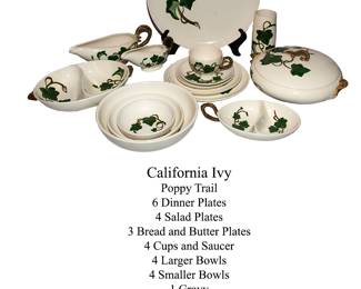 1047 California Poppy Trail 100.00