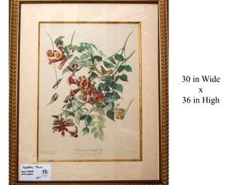 1041 Audubon Ruby Throated Hummingbird 125.00