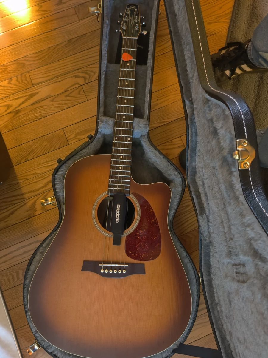 Beautiful guitar/carry case (specifics coming soon)
