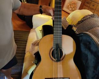 Beautiful guitar/carry case (specifics coming soon)
