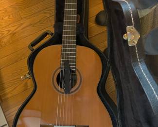 Beautiful guitar/carry case (specifics coming soon)