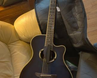 Beautiful guitar/carry case (specifics coming soon)