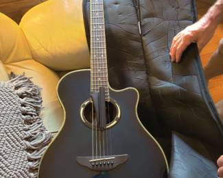 Beautiful guitar/carry case (specifics coming soon)