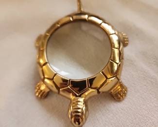 Magnifying Turtle