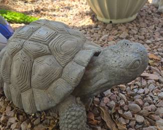 Turtle 