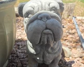 Old Bulldog 