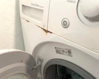$100 LG front loader washer, year 2009, some rust (model # WM2010CW)