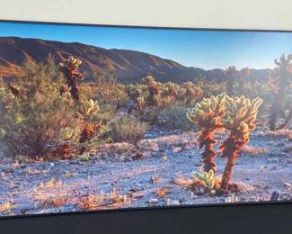 Dangerous Beauty Print by Edward Douglas Dolde
