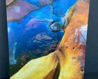 Dry Creek Photography Print on Acrylic by Edward Douglas Dolde
