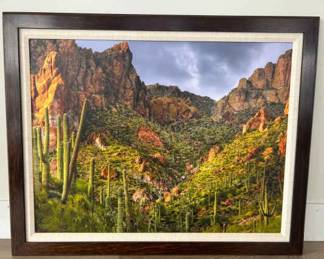 Saguaro Garden Along The Apache Trail Arizona Photography Print By Edward Douglas Dolde