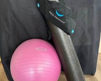 Exercise Ball Foam Roller And Neck Hammock