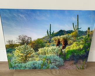 Glowing Cholla Saguaros Bartlett Lake AZ Photography Print By Edward Douglas Dolde
