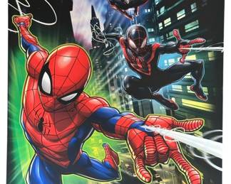 Spiderman Canvas Wall Hanging