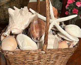 Basket of Seashells