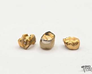 1222 Gold Silver Teeth and Inlays, 5.5g