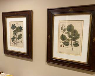 Botanical prints