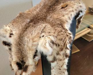 Animal hide