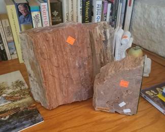 Petrified wood