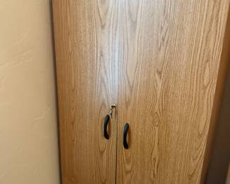 Large plywood supply cabinet with doors