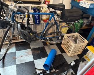 blue Nishiki road bike 