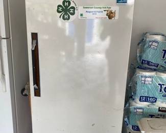 Upright Freezer 