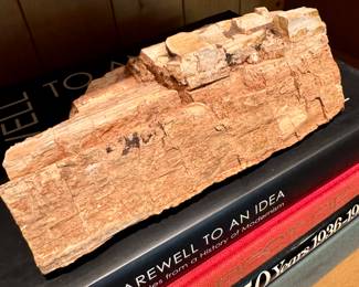 $60; petrified wood; 9"x3"