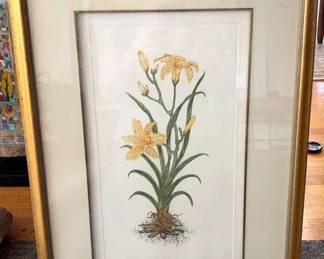 Day Lily By Martha Hinson