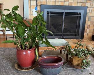 Pottery, Footstool Potted Plants
