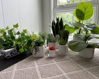 Faux Plants.