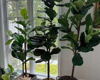 Faux Plants.