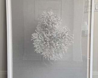 Original Photography Printing on Archival Paper. Signed By Artist Dawn Wolfe. Photo 1 of 2.