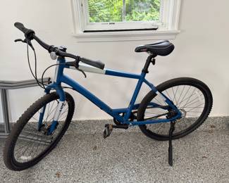 UX Momentum Bike. Photo 1 of 4.