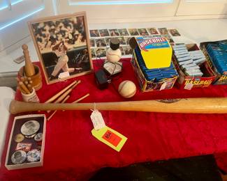 Baseball items -
Steve car wet bag purchased from auction