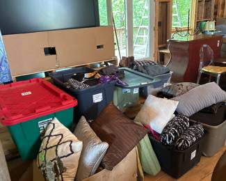 Throw pillows,large monitors and all kinds of Bin finds