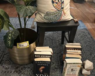 Misc: books, stool, Ikea false plant, World Market beaded peacock pillow.