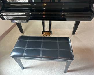 Schumann Player Piano